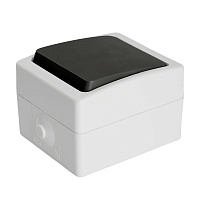 Переключатель 1-клавишный STEKKER, PSW10-112-54, 1-полюсный на 2 направления открытой установки, 250В, 10А, IP54, серый/графит 32756