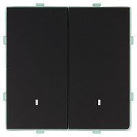 Выключатель 2-клавишный c индикатором (механизм), STEKKER, 250В, 10А, серия Эмили, RSW10-5102-05, черный уголь, soft touch 49838