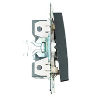 Выключатель 2-клавишный c индикатором (механизм), STEKKER GLS10-7102-05, 250В, 10А, серия Катрин, черный 39607