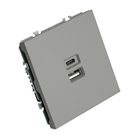 Розетка 2-местная USB + Type C (механизм), STEKKER, 250В, 20W, серия Эмили, RST10-5115-10, платиново-серый, soft touch 49957 Розетка 2-местная USB + Type C (механизм), STEKKER, 250В, 20W, серия Эмили, RST10-5115-10, платиново-серый, soft touch 49957