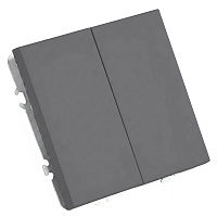 Выключатель 2-клавишный (механизм), STEKKER, 250В, 10А, серия Эмили, RSW10-5104-10, платиново-серый, soft touch 49944