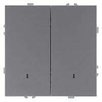 Выключатель 2-клавишный c индикатором (механизм), STEKKER, 250В, 10А, серия Эмили, RSW10-5102-10,  платиново-серый, soft touch 49942