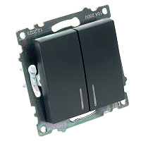Выключатель 2-клавишный c индикатором (механизм), STEKKER GLS10-7102-05, 250В, 10А, серия Катрин, черный 39607